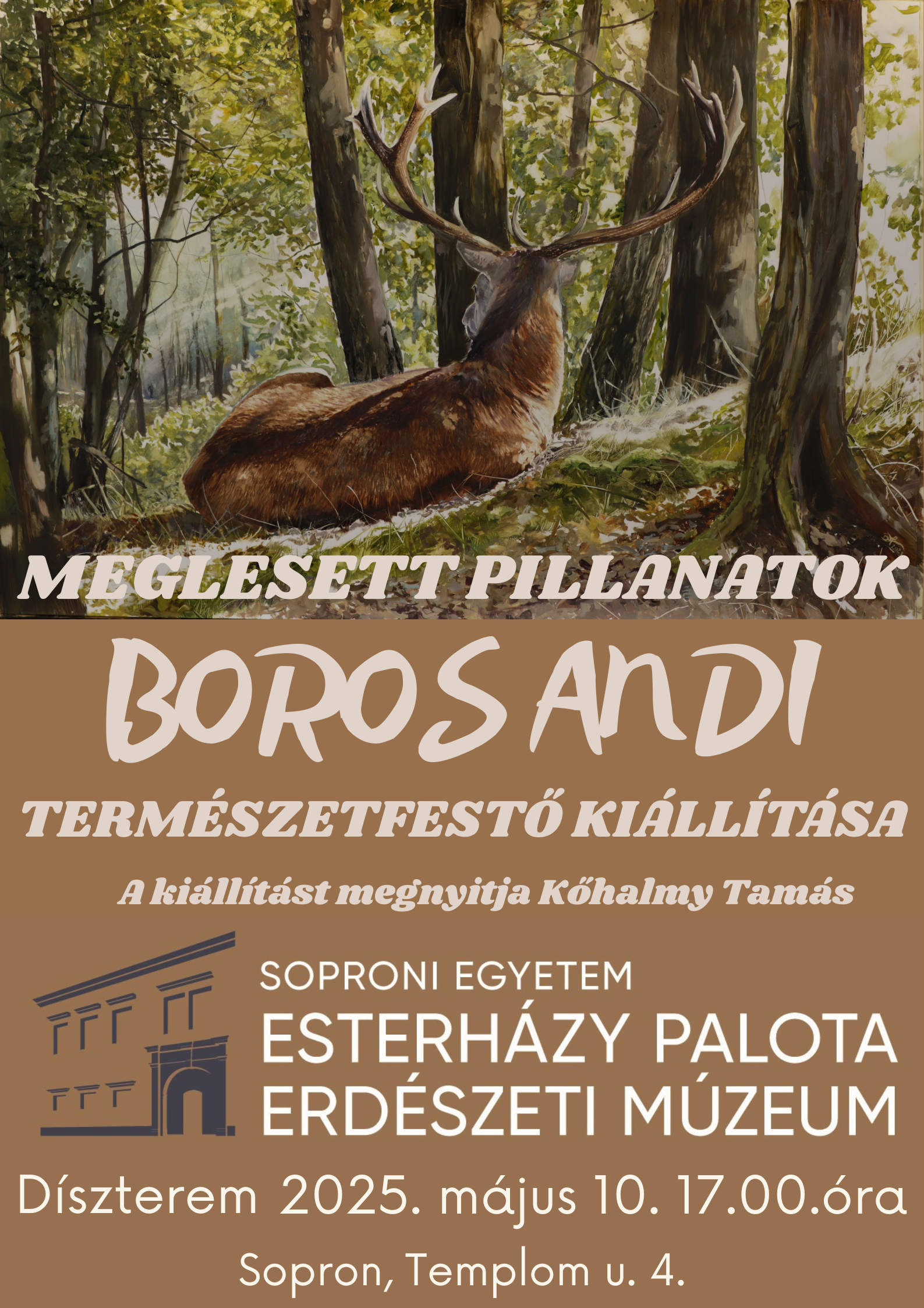 MEGLESETT PILLANATOK.png